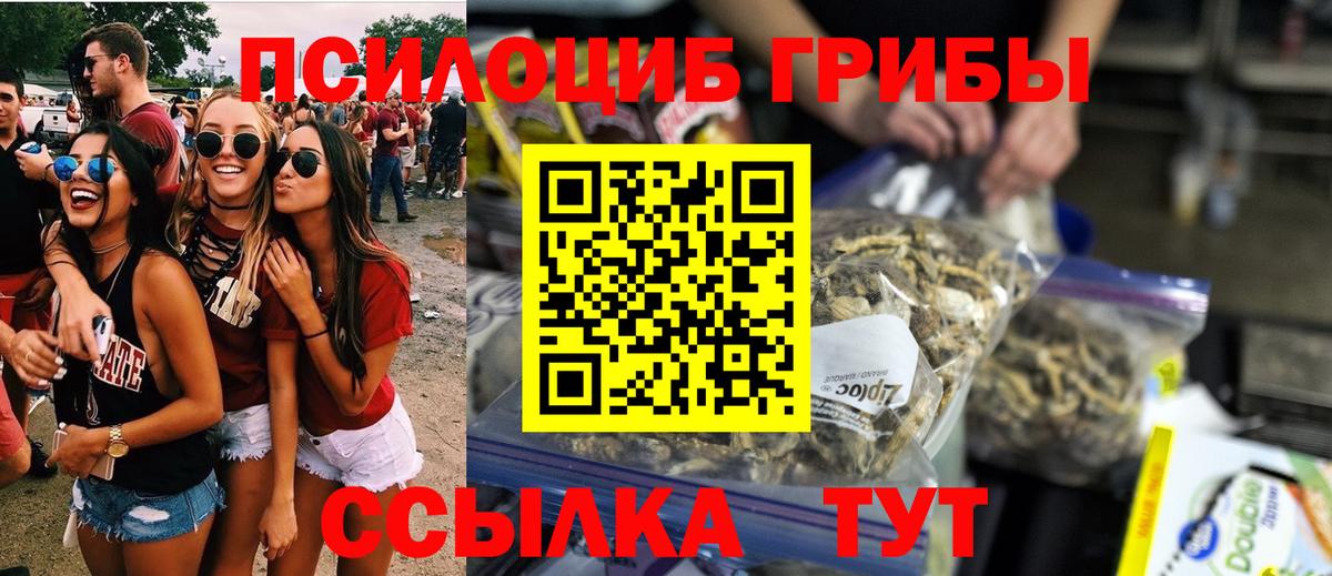Белебей  Галлюциногенные грибы Psilocybe  Вход с VPN 