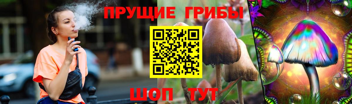 Псилоцибиновые грибы мицелий Белебей